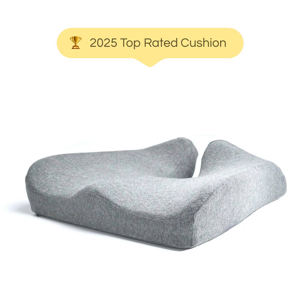 Anvikafoam - Seat Cushion